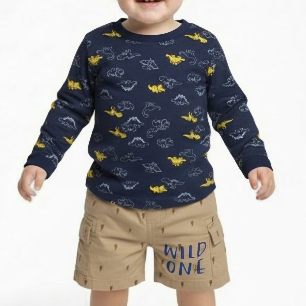 Garanimals Toddler Dino Outfit Sweatshirt Wild One Shorts 2pc Set 18M
